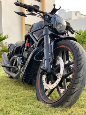 Harley division V ROD