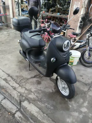 مطوفيزباشحن