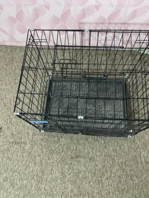 متاح قفص كبير جديد