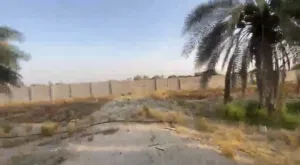مزرعه في العجبان ابو ظبي المزارع الاولى مساحتها 500*500 قدم فيها 360 نخله