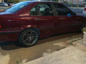 BMW316وطواط