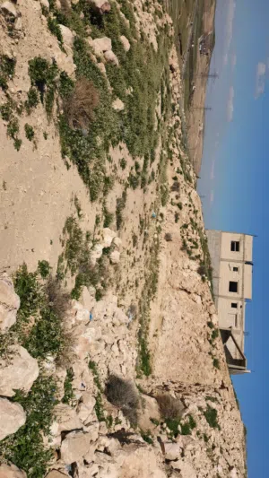 Residential Land for Sale in Amman Abu Alanda