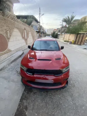 دورنكو موديل 2017