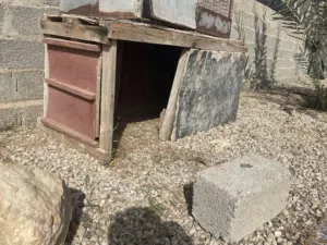 بيت لجميع الحيوانات