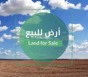 ارض للبيع في طريق المشتل عين زارة