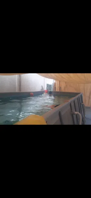 مسبح كبير من شركة انتكس مع كامل الملحقات فلتر وقارب