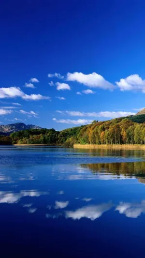 فادي يوسف عبد المعطي حميدات 