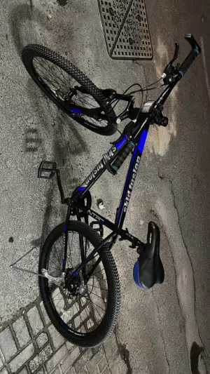 Skid fusion bike
