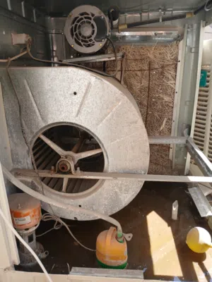 Other  AC in Baghdad