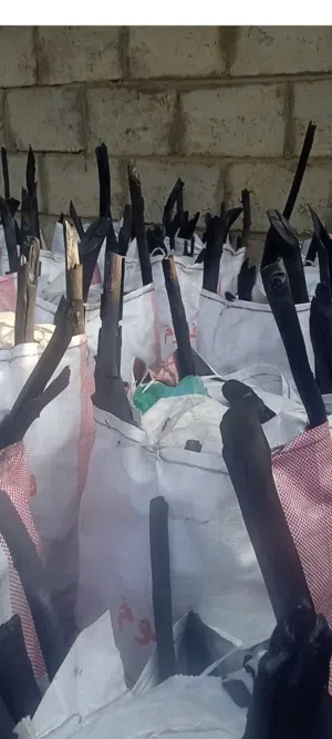 نافع يحي وجيه لبيع جميع انواع الفحم  جمله وتجزايه