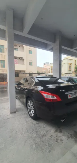 nissan maxima 2011