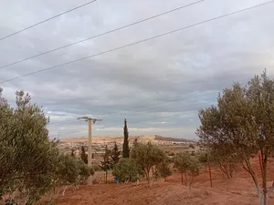 Mixed Use . 10 m2 . Landlord1