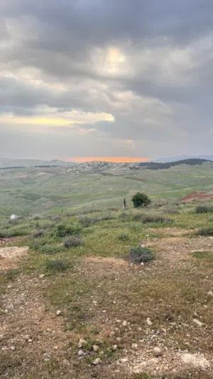 Farm Land for Sale in Jerash Unaybah