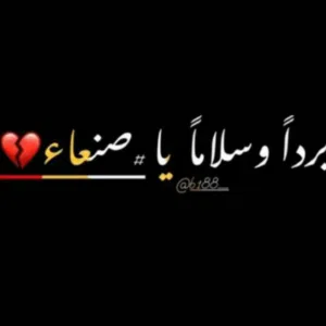 abo ali ali