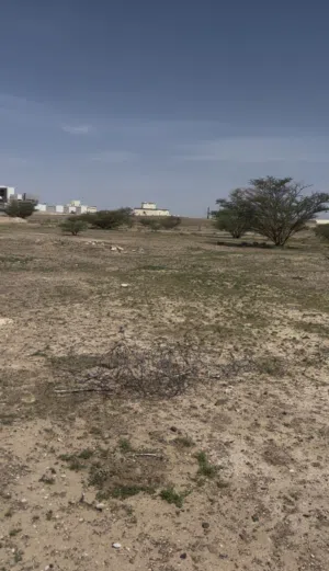 اراضي سكنيه شبك ملاصقات بعض الموقع السنينه قريب الدوار