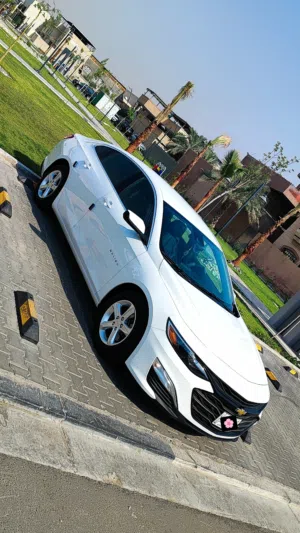 شفرلية ماليبو موديل 2021 رقم بصرة حرة وبأسمي