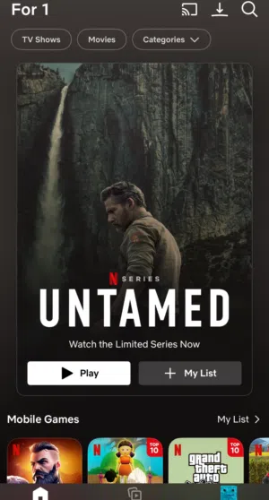 Premium Netflix Account – Unlimited Entertainment”  4k premium account  Without any ads  Enjoy