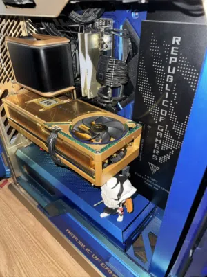 Cazasouq Custome 1 of 1 Gold Pc