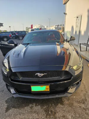 Mustang GT 2016 Low Mileage
