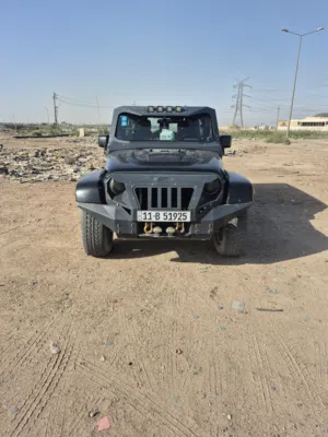 جيب رانكلر 2010