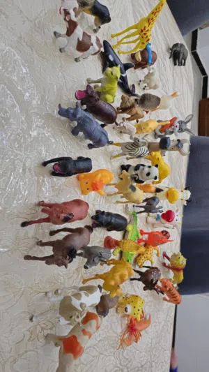 حيوانات اطفال موضحة في الصورة