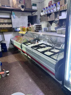ثلاجات الفلسطينية ديلي