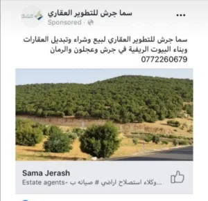 احمد العلي 
