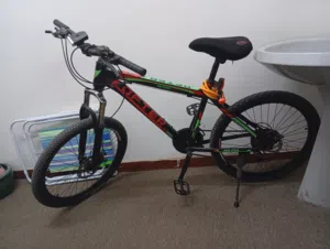 24" bicycle for sale