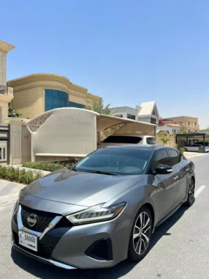 Used Nissan Maxima in Ajman