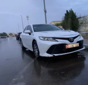 احمد 