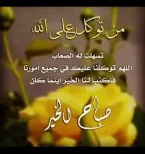 مهدي 