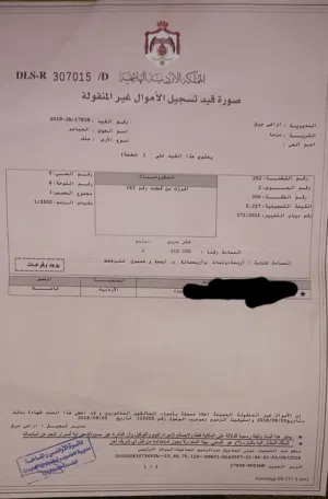 مزرعة زيتون مطله