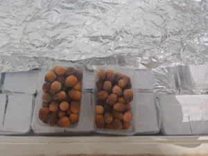 روثانه  مناصيف مجمده
