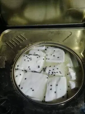 جبنة بيضاء نابلسية حليب غنم