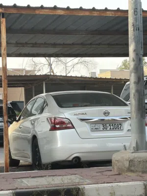 التيما 2013 ( القير خربان )