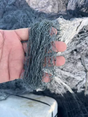 لياخ ضلعه برشوت