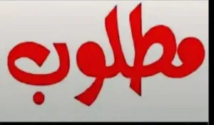 مطلوب مستعجل جدا