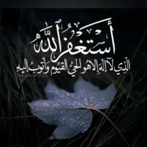 Zeyad 