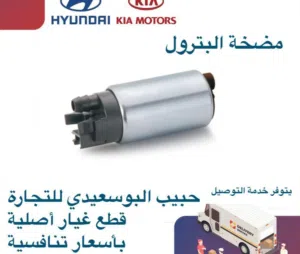 مضخة البترول وكالة( هيونداى/كيا )