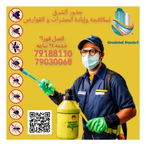 حسام الدين شاهين 