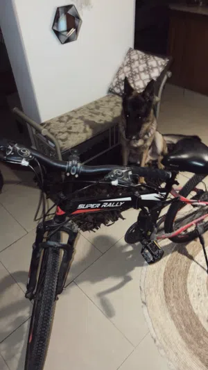 mountain bike