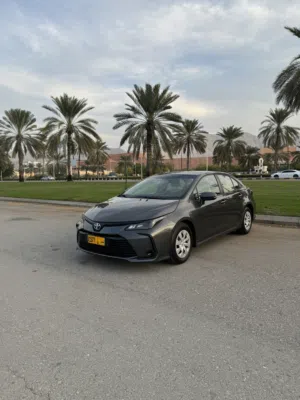 Used Toyota Corolla in Muscat