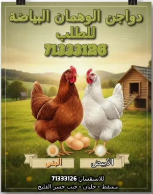 دواجن لوهمان لانتاج البيض الأصلية 100٪ جديده وليسة منتهية من المصانع