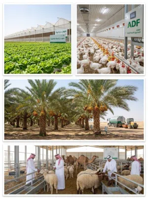 خدمة متكاملة لتجهيز تقديم المشاريع الزراعية المعتمدة من صندوق التنمية الزراعية