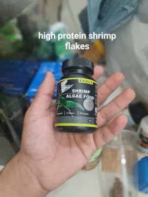 High quality Aquarium accessories & High nutrition Foods for shrimps,fishes and snails