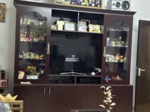 Living room display unit