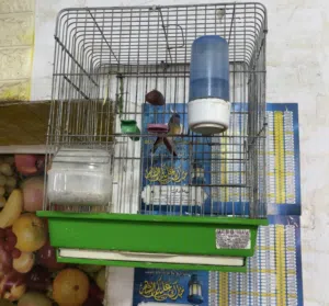 انتى سسكن انتاج محلي