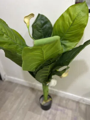 شجره اخضر اصطناعي مستعمله خفيفه شبه جديد