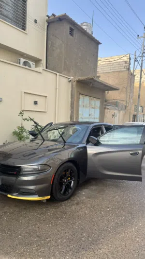جارجر 19 sxt وارد امريكي