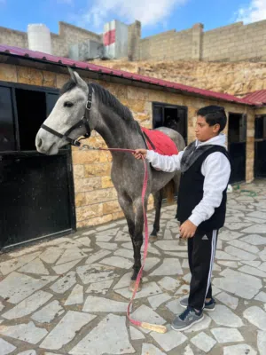 فرس نخب النخب